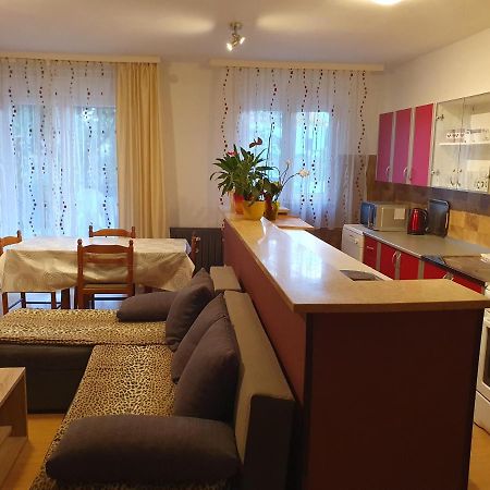 Apartments Sara Labin  Εξωτερικό φωτογραφία