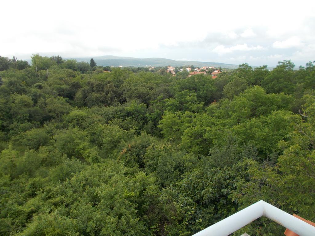 Apartments Sara Labin  Δωμάτιο φωτογραφία