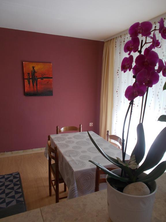 Apartments Sara Labin  Εξωτερικό φωτογραφία