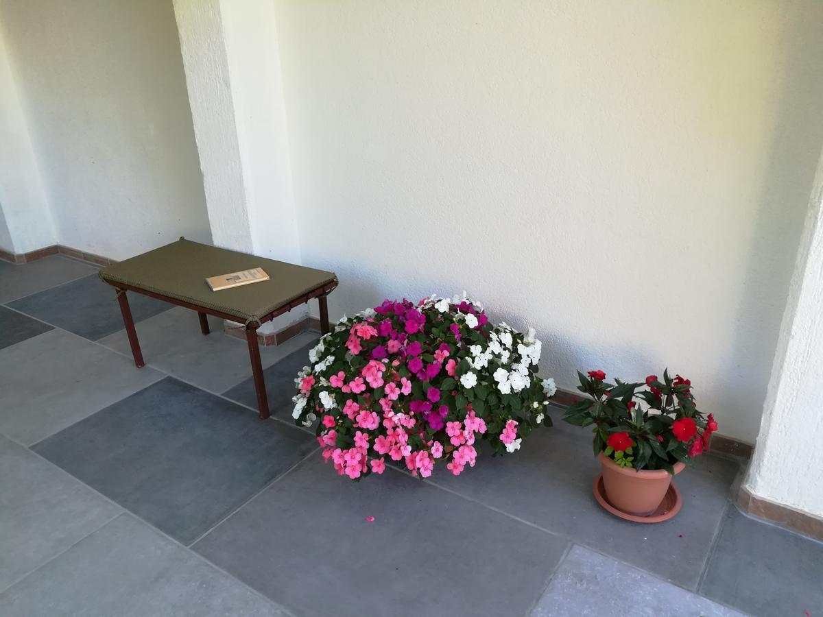 Apartments Sara Labin  Εξωτερικό φωτογραφία