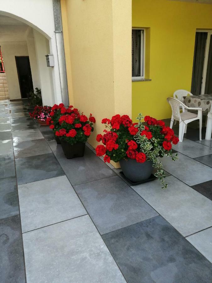 Apartments Sara Labin  Εξωτερικό φωτογραφία